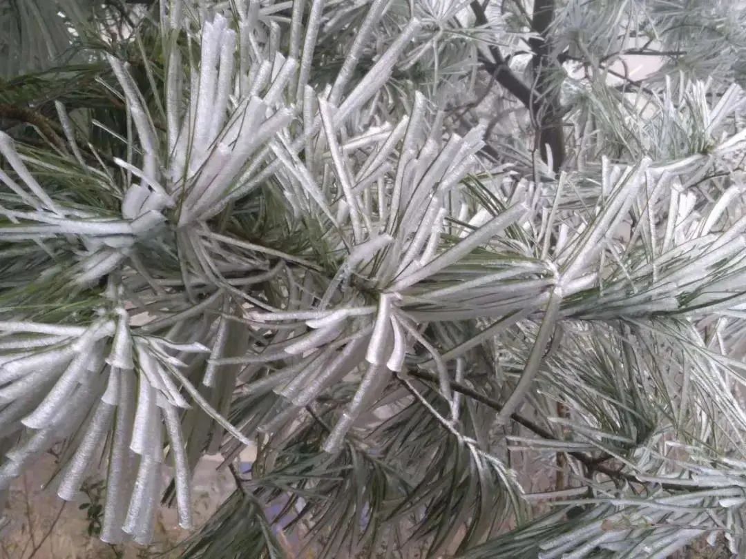 室外大雪纷飞，室内温暖如春，这种炉子取暖简直给力！