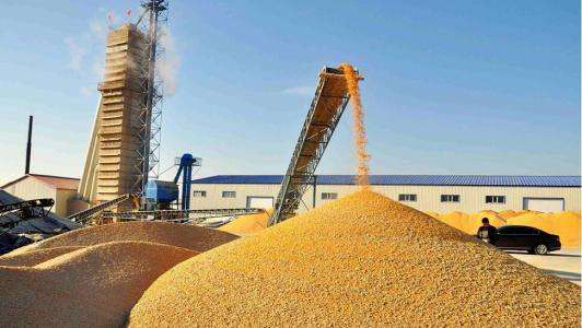 Grain drying